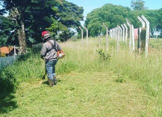 Secretaria de Esportes e Lazer realiza manutenção nos campos da cidade