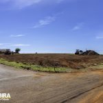 _MG_5449-Editar