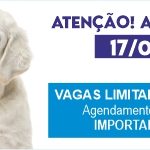 CASTRAÇÃO 01