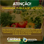 Sem título-1