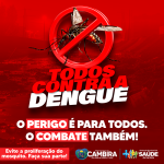 Campanha Dengue 2025 – Dezembro 500×500